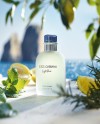 Light Blue Pour Homme Eau de Toilette